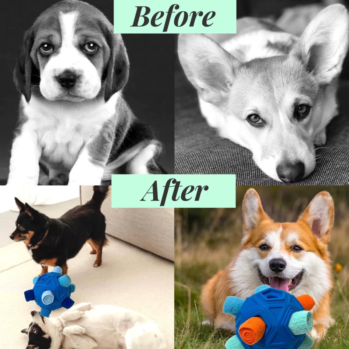 Snuffle Ball for Dog Toys Unbreakable Upgrade Ball Interactive Toy Foraging Snuffle Mat Puppy Treat Dispenser Slow Feeder